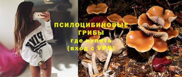 ALPHA-PVP Новодвинск