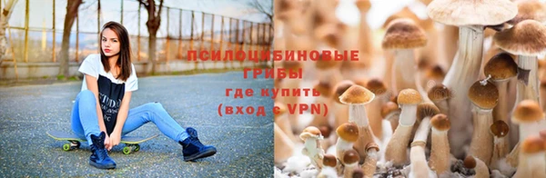 альфа пвп Нязепетровск