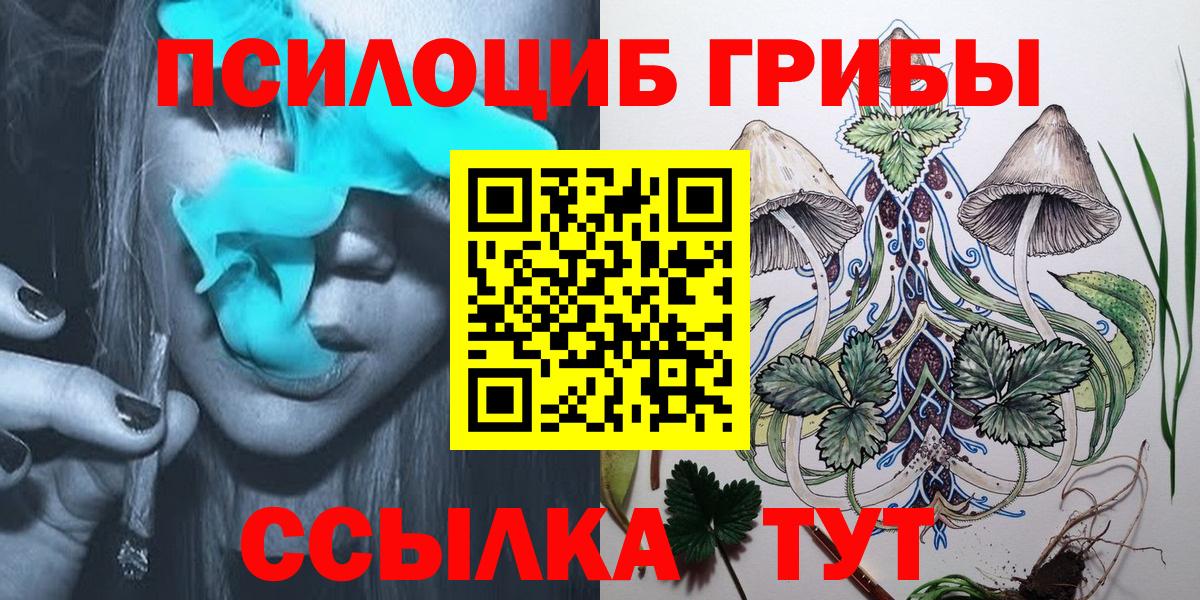 Псилоцибиновые грибы Cubensis Кстово