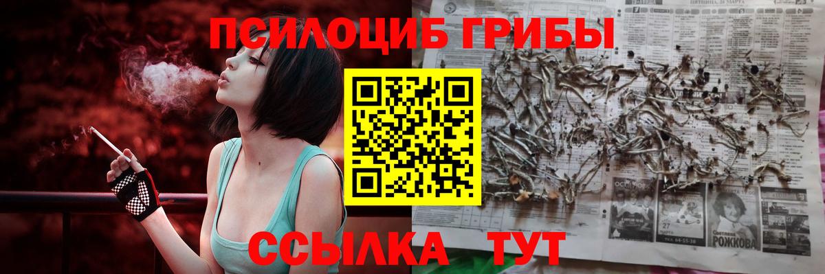 Псилоцибиновые грибы Psilocybine cubensis  хочу наркоту  Кстово 
