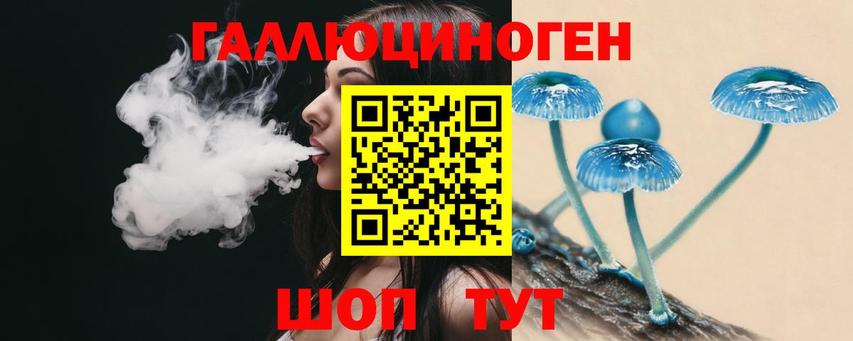 Псилоцибиновые грибы мицелий Кстово